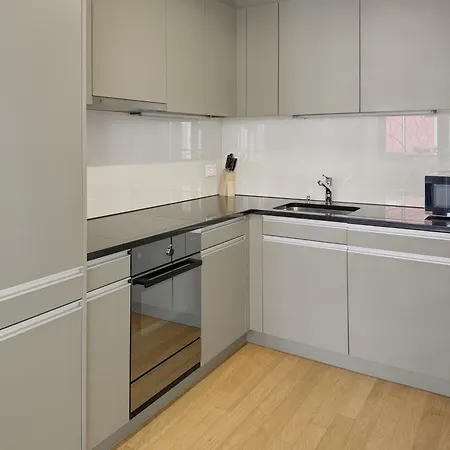 2br Flat In The Center - West 12 취리히